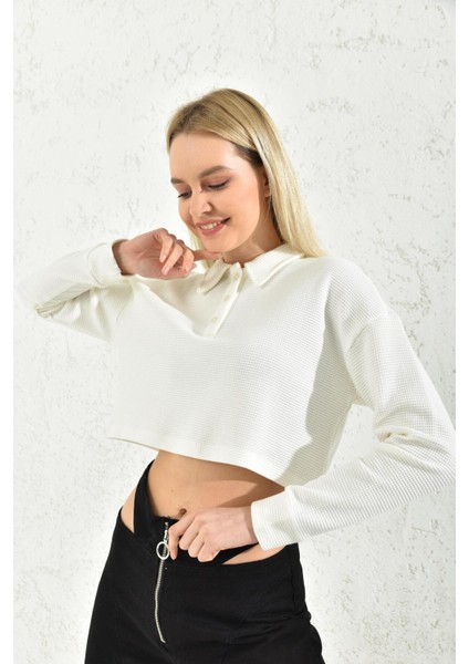 Ekru Polo Yaka Crop Bluz fiyatları