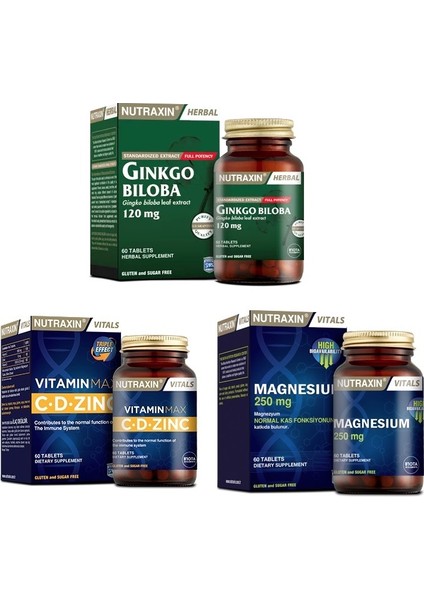 Ginkgo Biloba 60 Tablet + Vitamin Max (C,D,Zinc)60 Tablet + Magnesium 60 Tablet