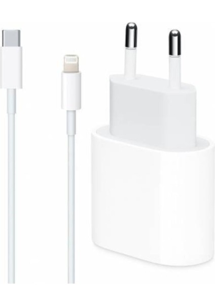 Apple iPhone Uyumlu 11 / 12 Pro Max Hızlı Şarj Aleti Seti 20W Usbc