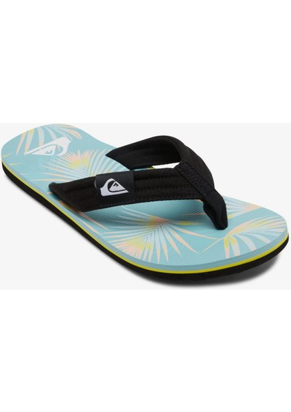 AQYL101241-BYJ2 Molokai Layback Erkek Terlik