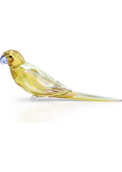 Biblo Jungle Beats Yellow Parakeet
