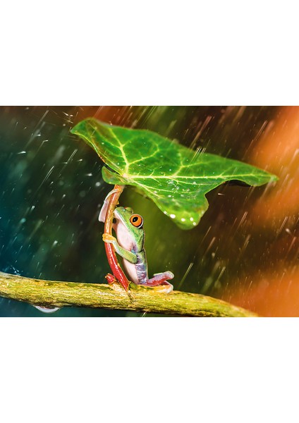 Green Umbrella 500 Parça Puzzle