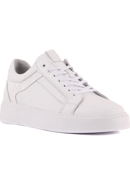 Sail Lakers - Beyaz Deri Erkek Sneaker