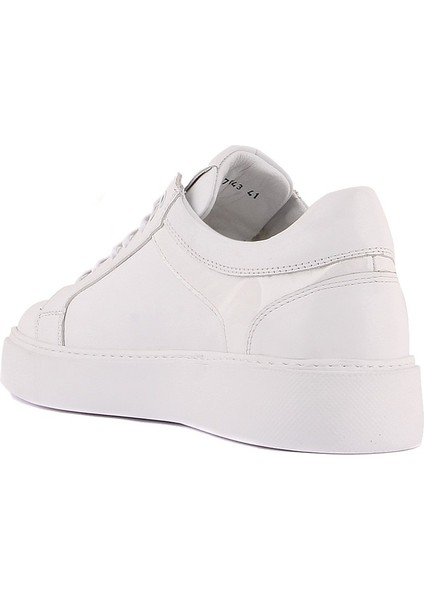 Sail Lakers - Beyaz Deri Erkek Sneaker