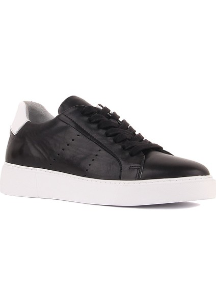 Sail Lakers - Siyah Deri Bağcıklı Erkek Sneaker