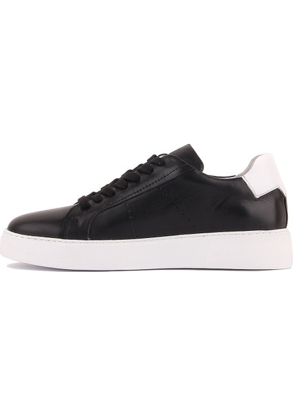 Sail Lakers - Siyah Deri Bağcıklı Erkek Sneaker