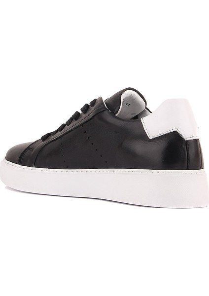 Sail Lakers - Siyah Deri Bağcıklı Erkek Sneaker