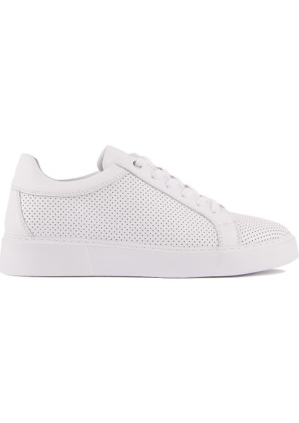 Sail Lakers - Beyaz Deri Bağcıklı Erkek Sneaker