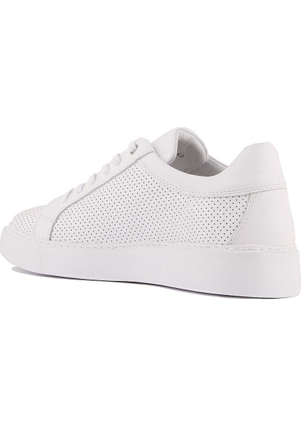 Sail Lakers - Beyaz Deri Bağcıklı Erkek Sneaker fırsatları