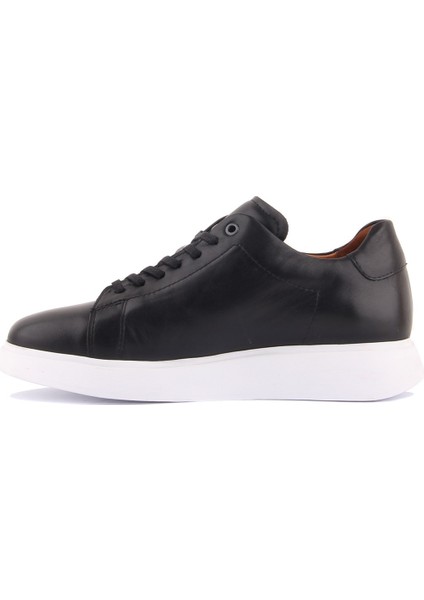 Sail Lakers - Siyah Deri Erkek Sneaker
