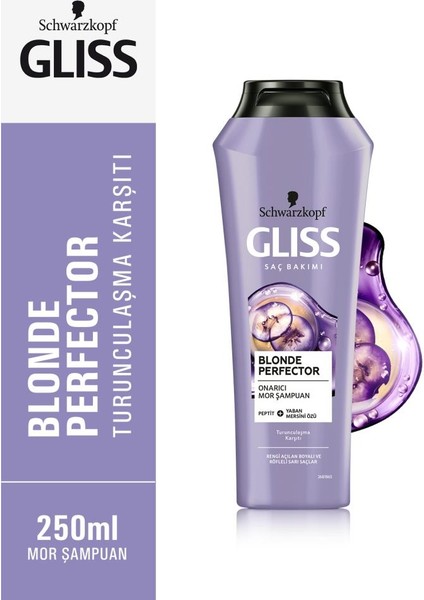 Blonde Perfector Mor Şampuan 250 ml x 2 Adet