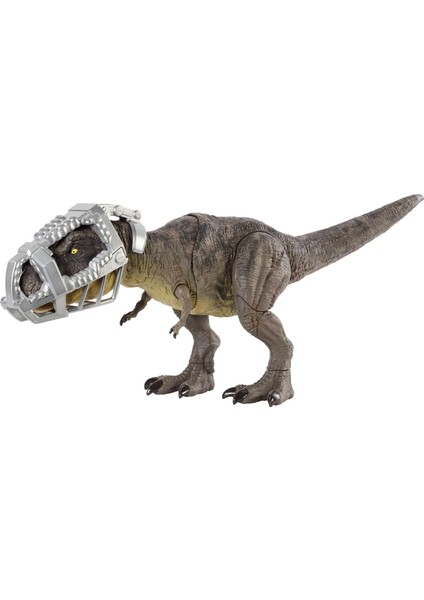 Jurassic World Yürüyen Mücadeleci T-Rex Figürü, Isırma Hareketi, Hareketli Eklemleri Ve Özgün Tasarımıyla, 4 Yaş Ve Üzeri Çocuklar İçin Gwd67