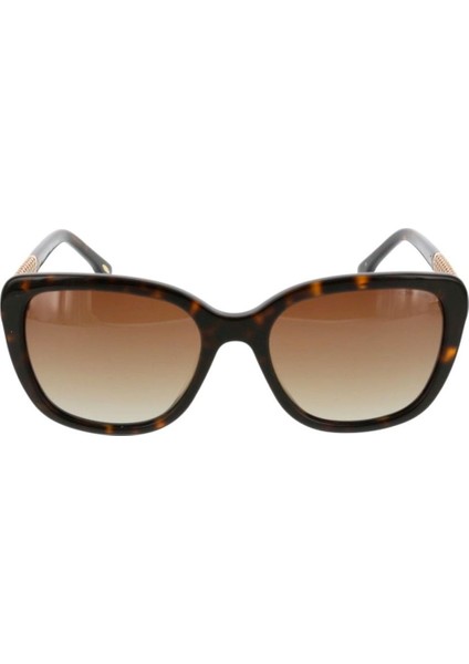 OS 3049 03 Güneş Bayan GÖZLÜĞÜ fiyatları