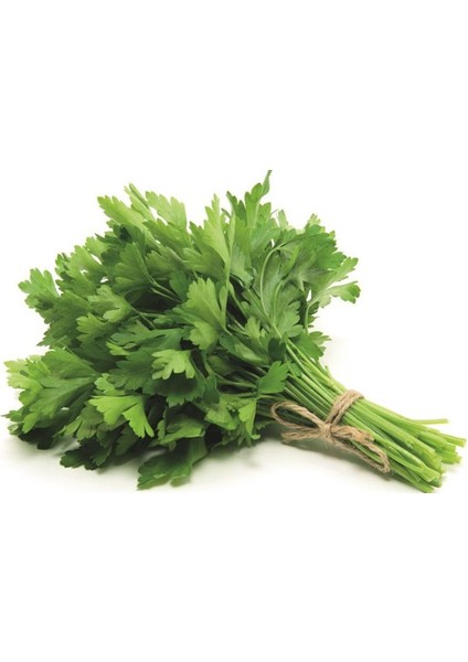 Yerli Maydonoz Tohum 1 kg