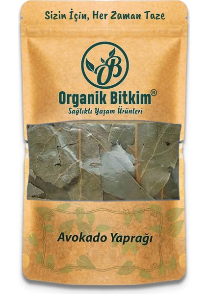 Avokado Yaprağı 150 gr Doğal Taze