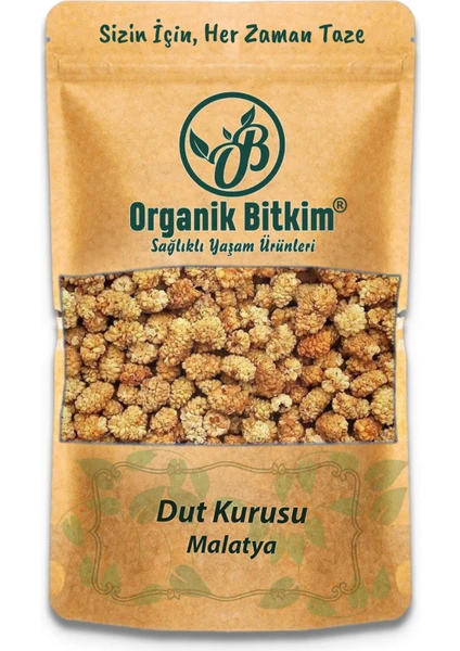 Organik Bitkim Dut Kurusu ( Malatya Yöresi ) Kuru Dut 1 kg