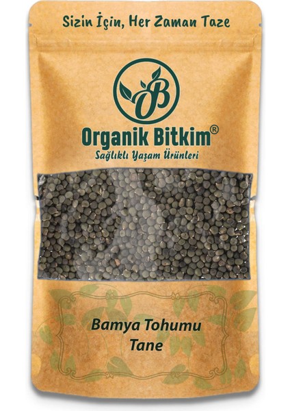 Tane Bamya Tohumu 1 kg