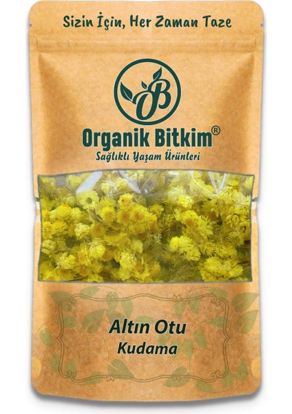 Altın Otu - Ölmez Çiçek - Kudama 250GR Doğal Taze