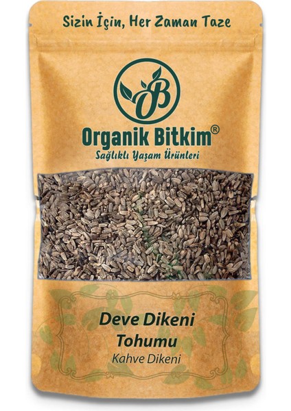 Tane Deve Dikeni 500 gr