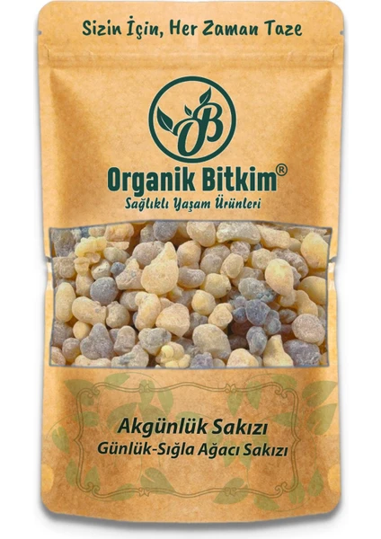 Organik Bitkim Günlük Sakızı (Akgünlük-Sığla Ağacı Sakızı) 1 kg