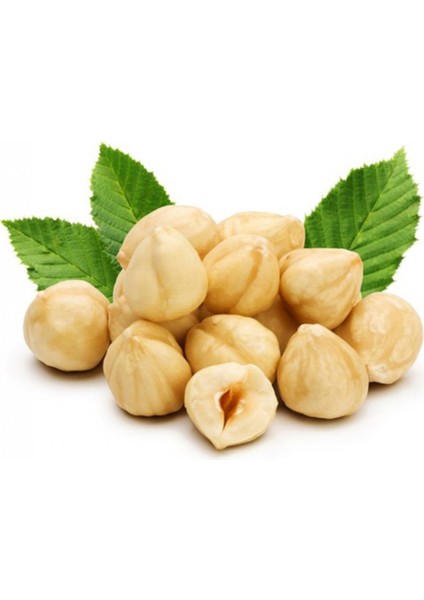 Kavrulmuş Giresun Fındığı 500 gr fırsatları