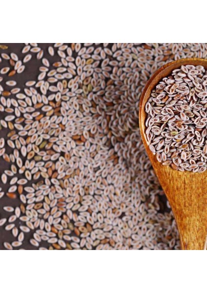 Karnıyarık Tohumu 200 gr modelleri