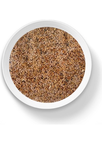 Karnıyarık Tohumu 100 gr fiyatları