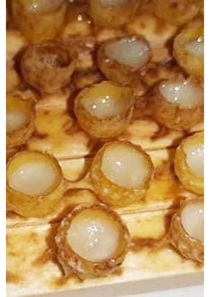 Bitkim Saf Arı Sütü 100 gr