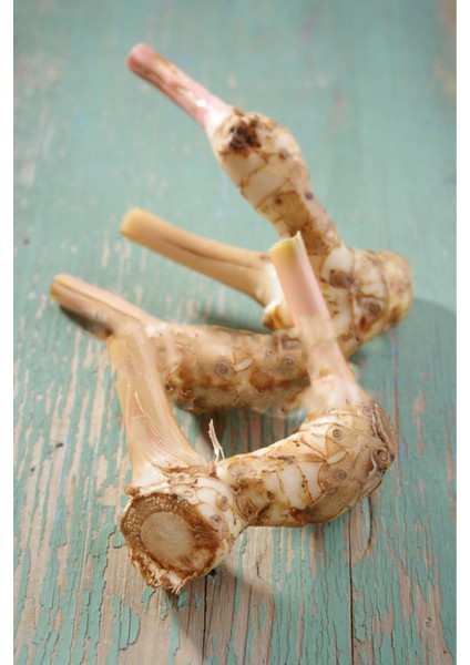 Toz Kök Havlıcan (Öğütülmüş) 150 gr fırsatları