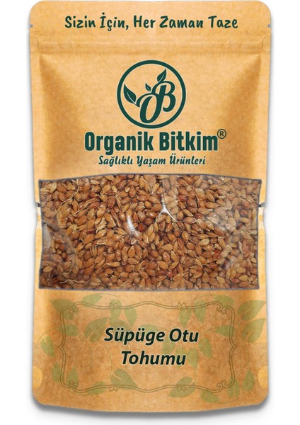 Süpürge Otu Tohumu 250 gr