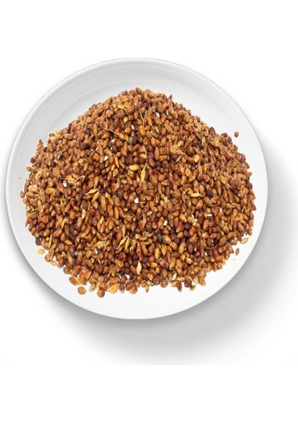 Süpürge Otu Tohumu 250 gr fiyatları