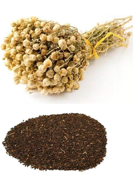 Üzerlik Tohumu 250 gr modelleri