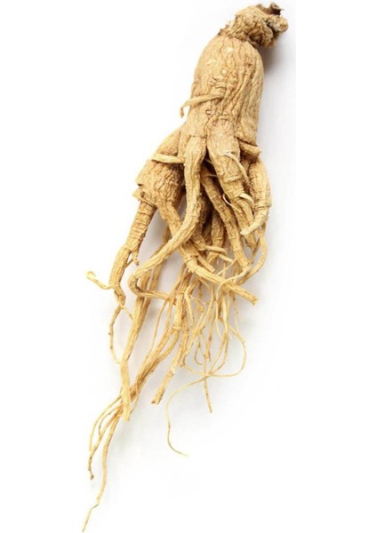 Organik Bitkim Kırmızı Ginseng (Adam Otu) Toz 10 gr