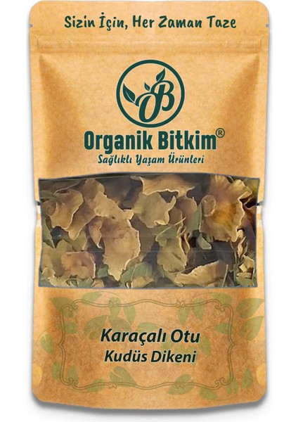 Karaçalı Otu 500 gr Doğal Taze