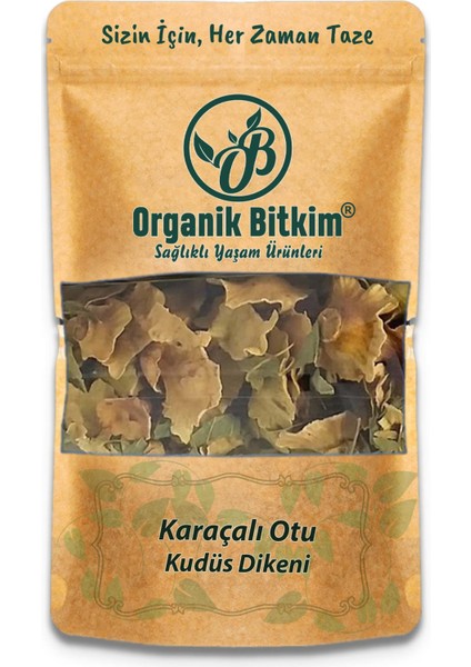 Karaçalı Otu 250 gr Doğal Taze