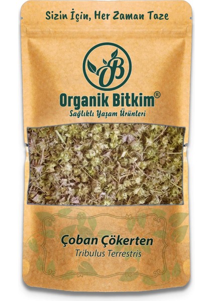 Çoban Çökerten (Tribulus) 100 gr