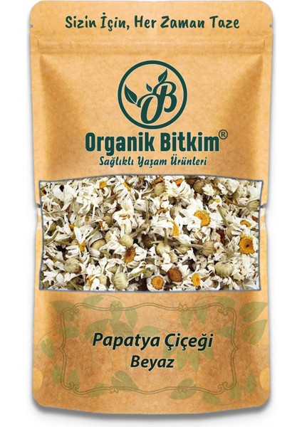 Papatya Çiçeği (Beyaz Papatya) 500 gr Doğal Taze