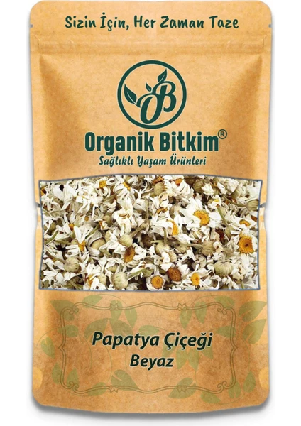 Organik Bitkim Papatya Çiçeği (Beyaz Papatya) 500 gr Doğal Taze