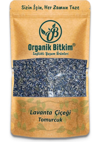 Lavanta - Lavanta Çiçeği (Tomurcuk) 1000 gr Doğal Taze