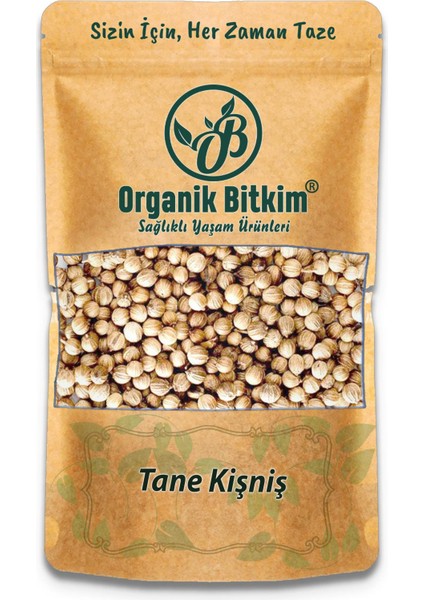 Tane Kişniş 500 gr