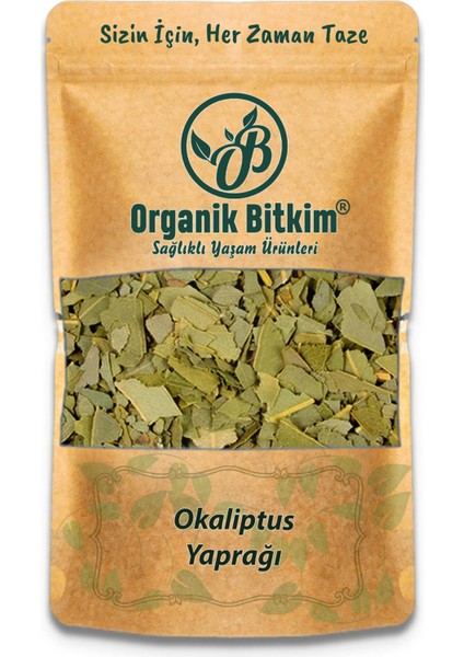 Okaliptus Yaprağı 1000GR Doğal Taze