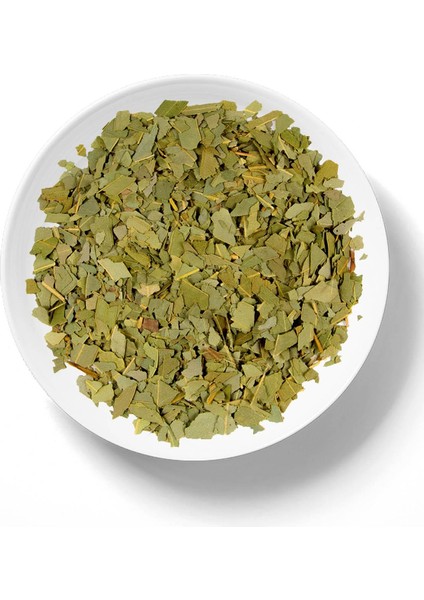 Okaliptus Yaprağı 150GR Doğal Taze