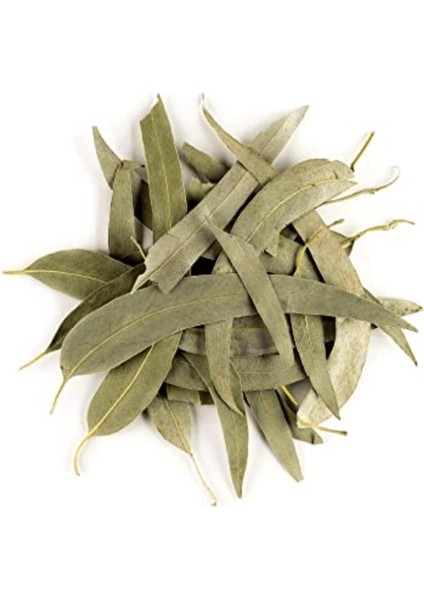 Okaliptus Yaprağı 150GR Doğal Taze