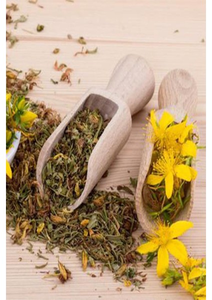 Sarı Kantaron 1000 gr Doğal Taze modelleri