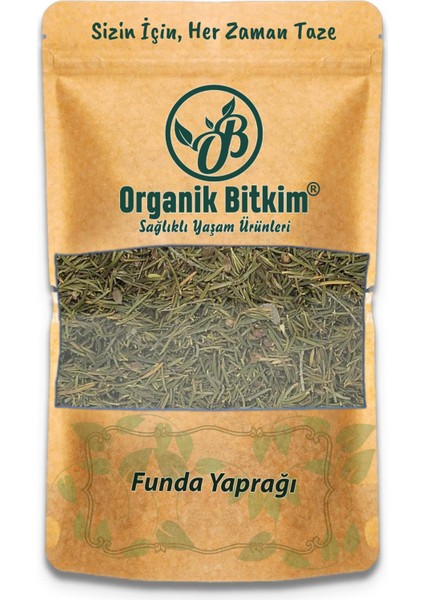 Funda Yaprağı 500 gr Doğal Taze