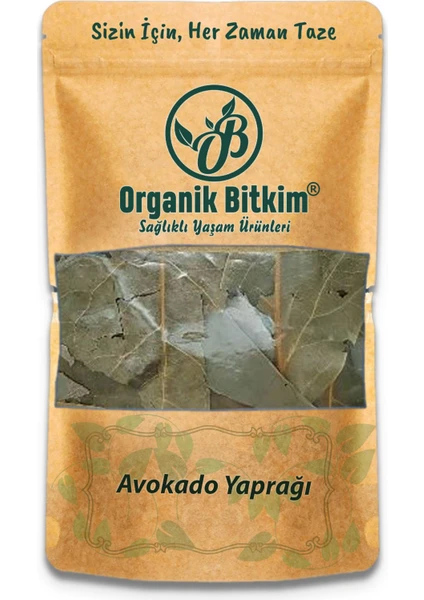 Organik Bitkim Avokado Yaprağı 250 gr Doğal Taze