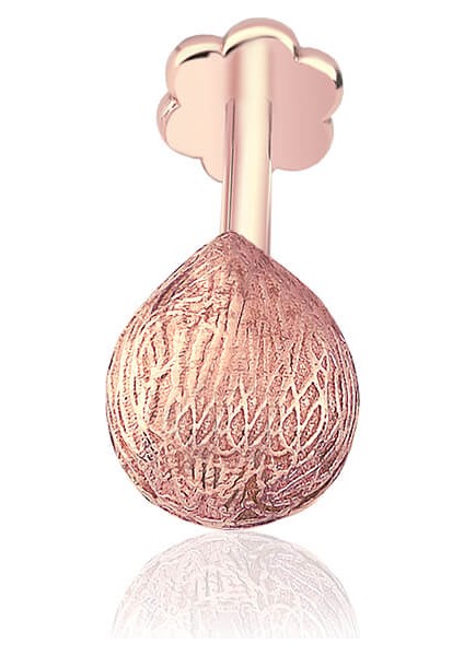 Coco Major Tragus