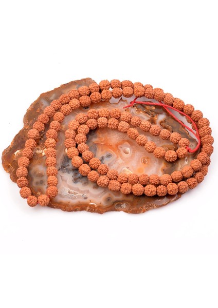 Rudraksha Tohum Dizi - 8 mm