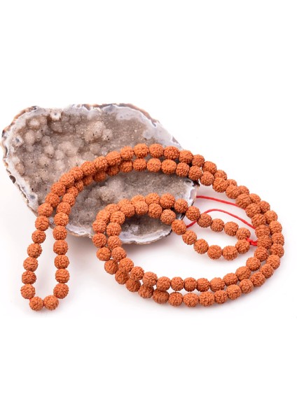 Rudraksha Tohum Dizi - 8 mm