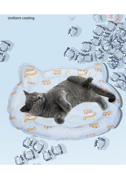 Evcil Hayvan Pedi (Yurt Dışından) fırsatları